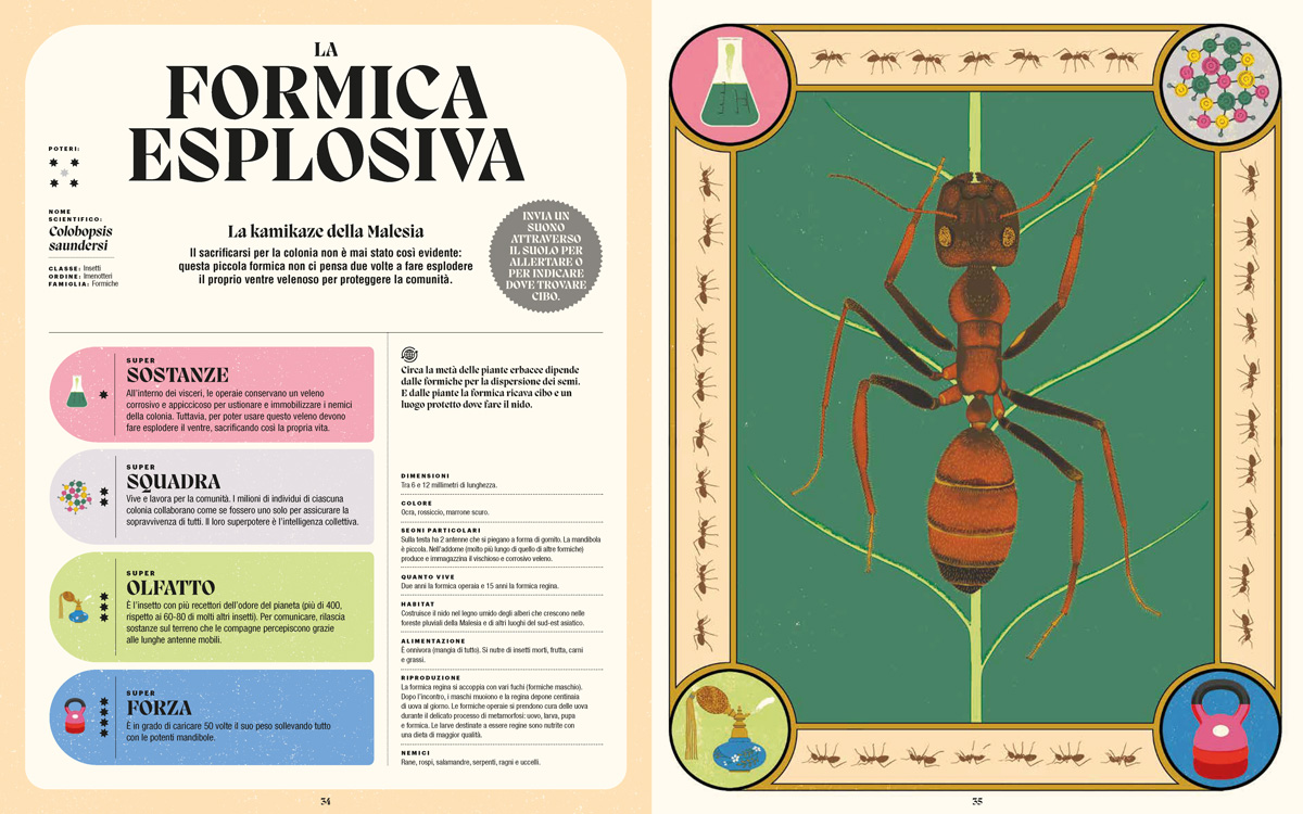 Superpoteri-animali_Nomos-Edizioni_alta18