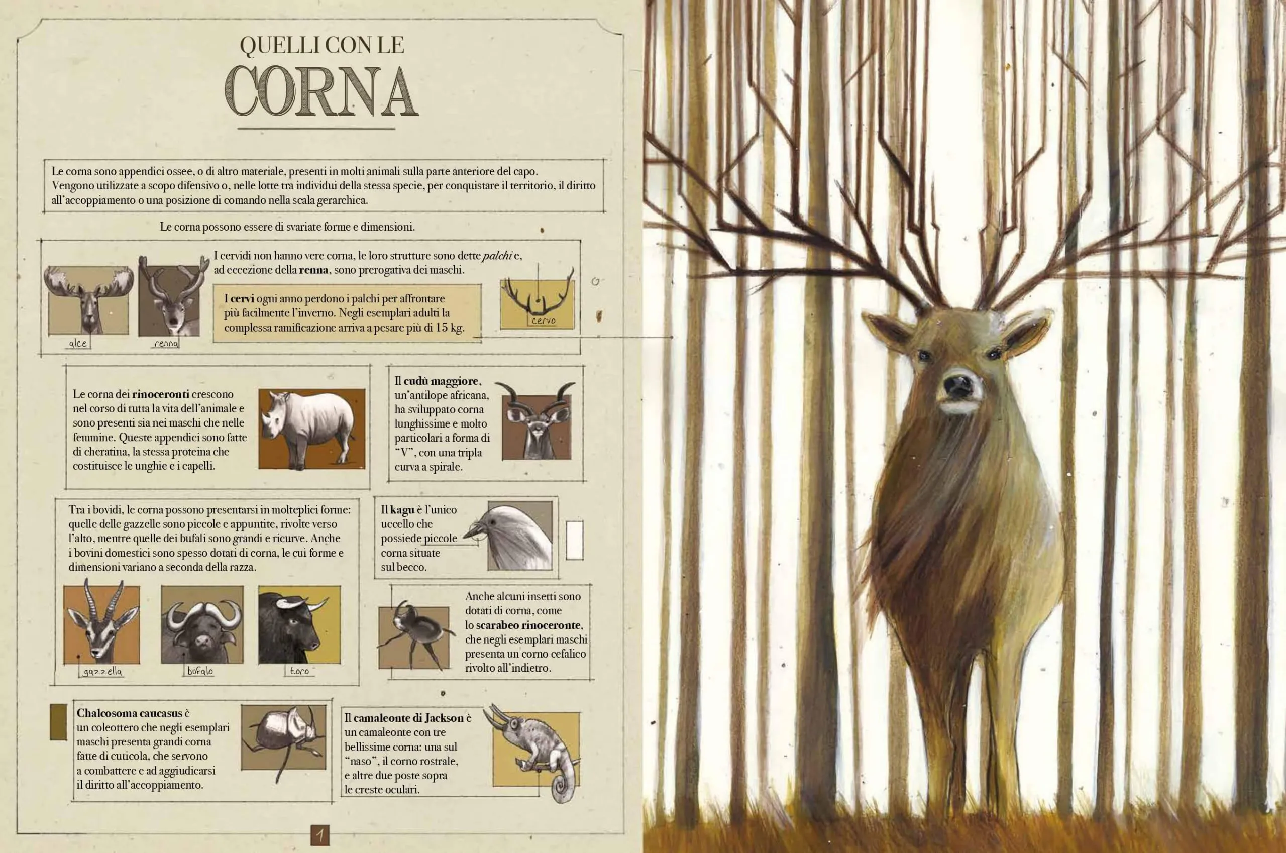animali_interno_10.1.23_LQ_page-0004-1-scaled