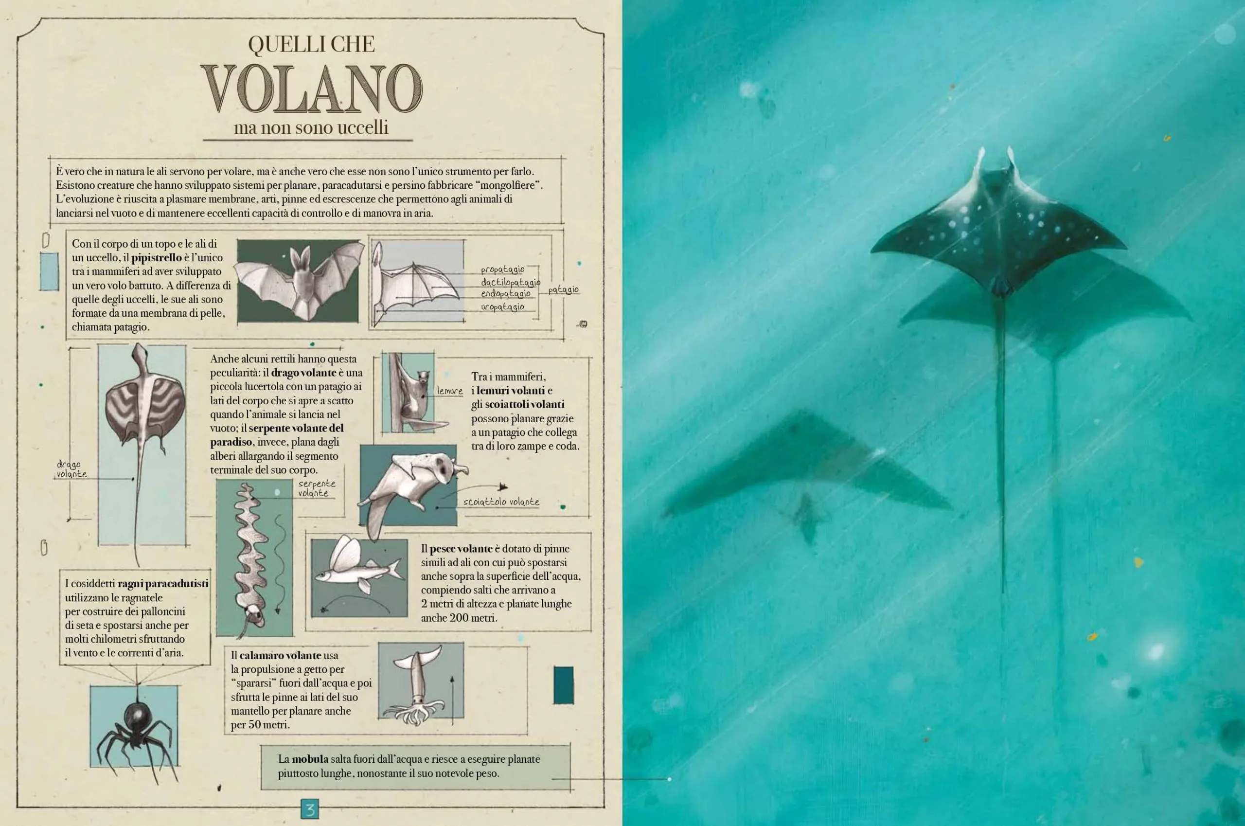 animali_interno_10.1.23_LQ_page-0006-1-scaled